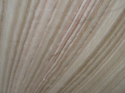 Tiger Onyx
